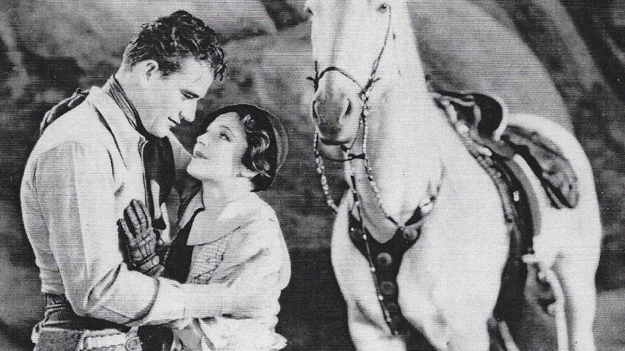 Somewhere in Sonora Background