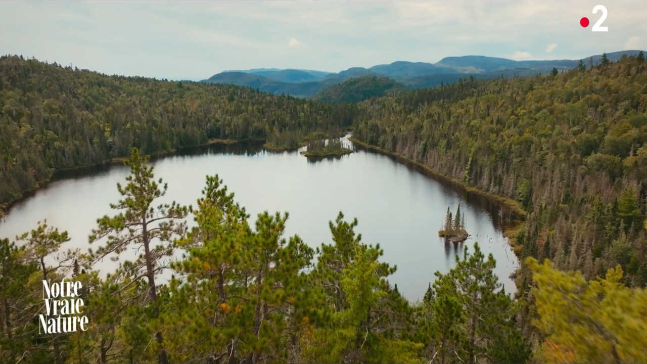 Notre vraie nature Background