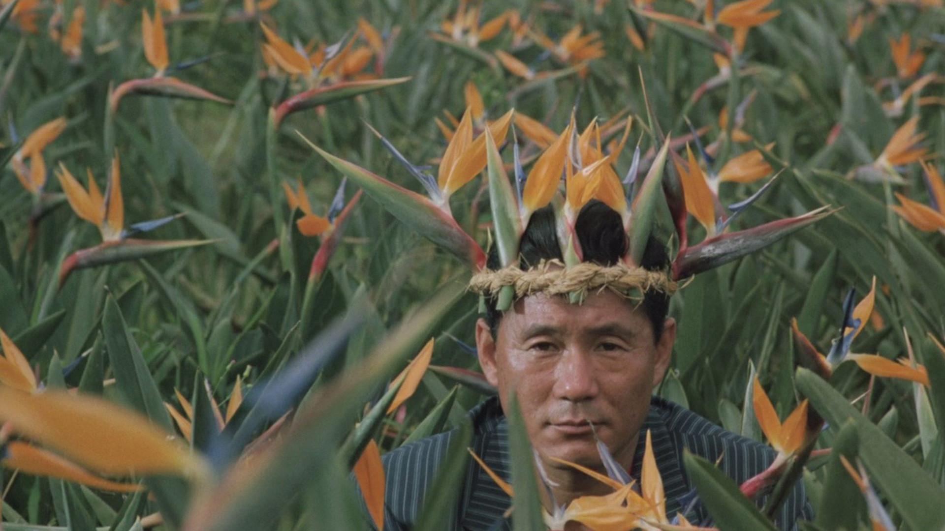 Boiling Point Background