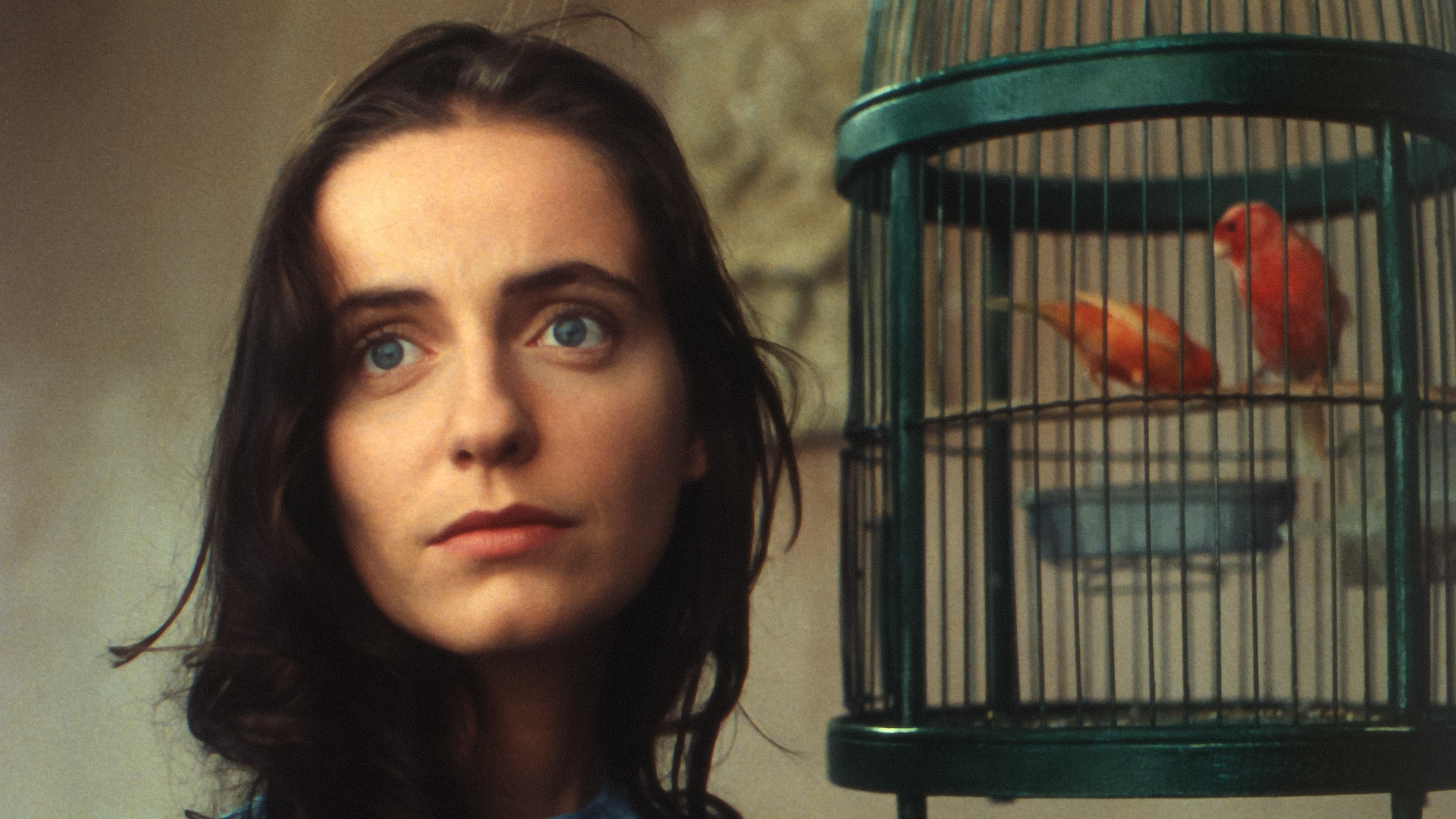 Abraham's Valley Background