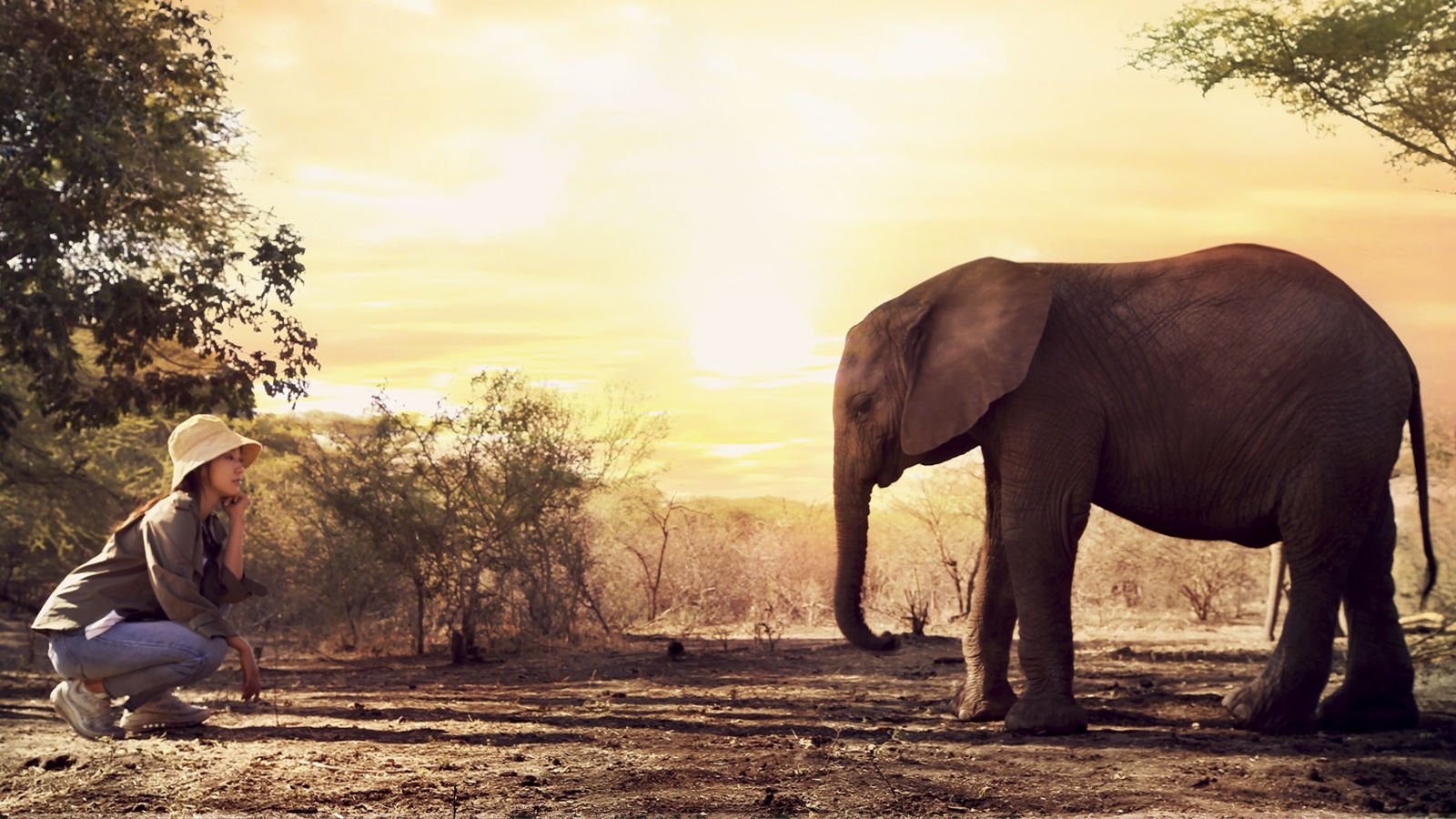 Humanimal Background