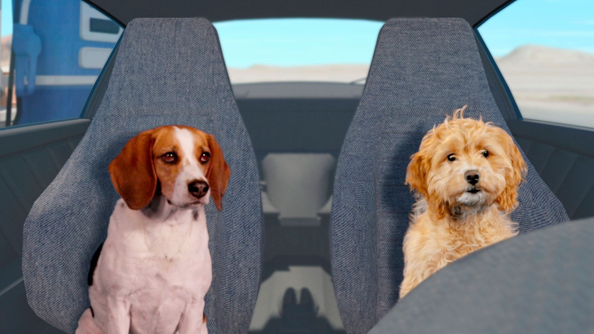 Fast and Furriest Background