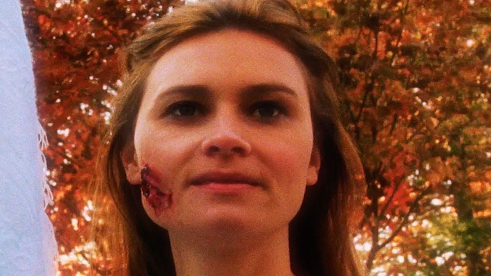 As Human As Animal Background