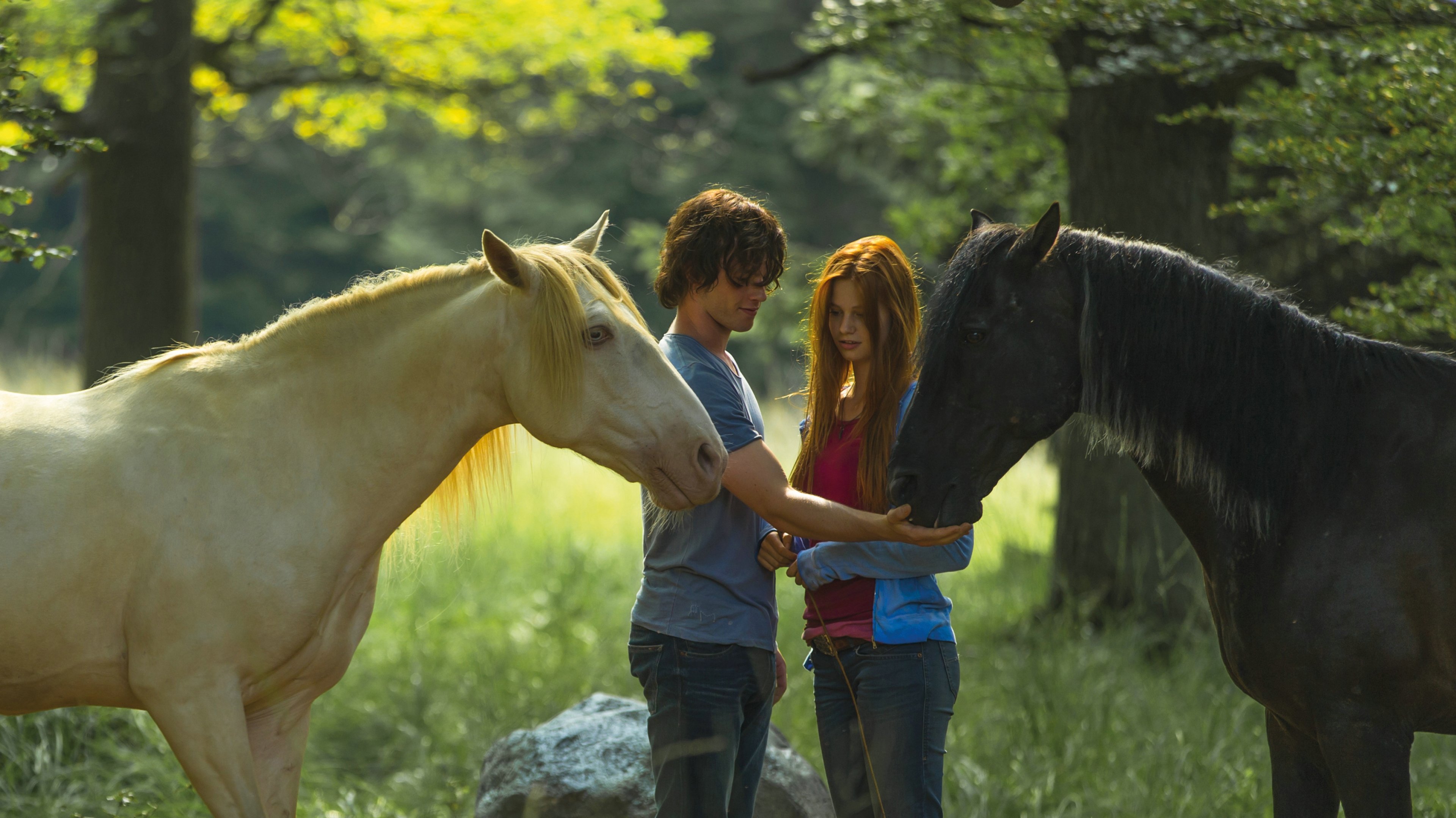 Windstorm 2 Background