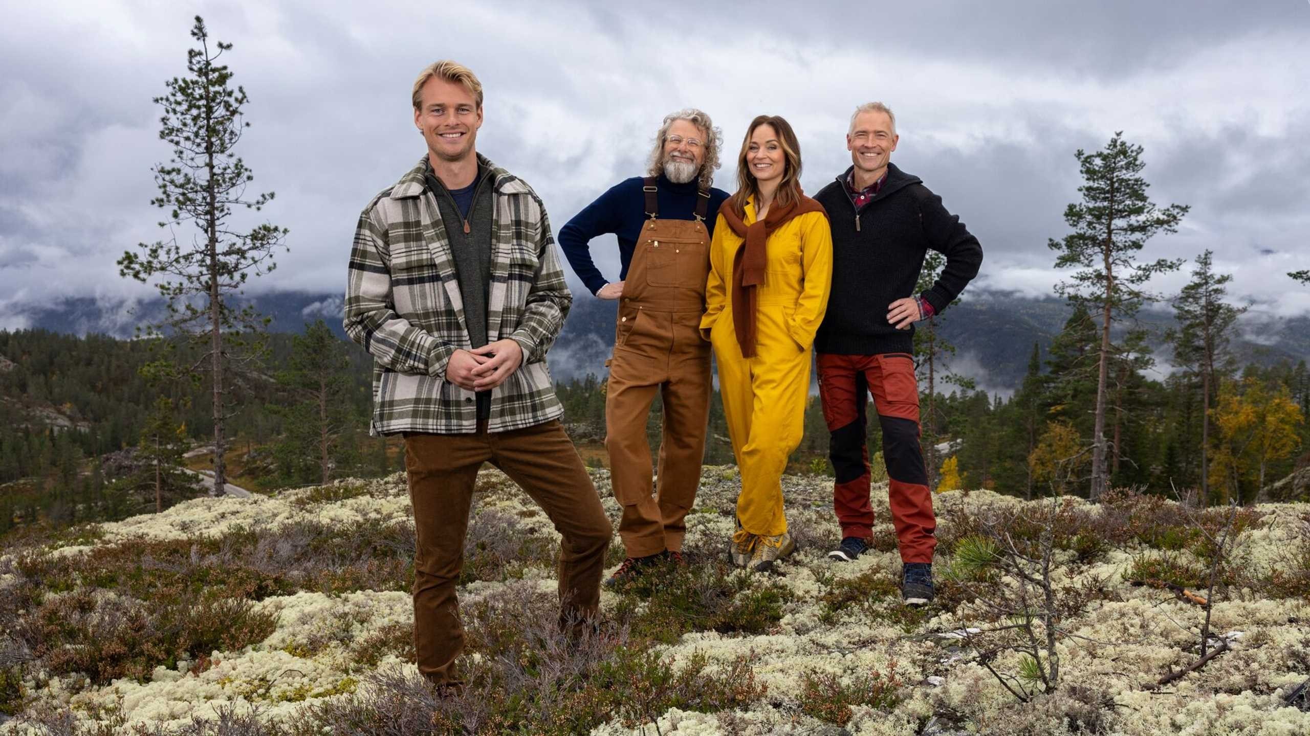 Fjellhytta Background