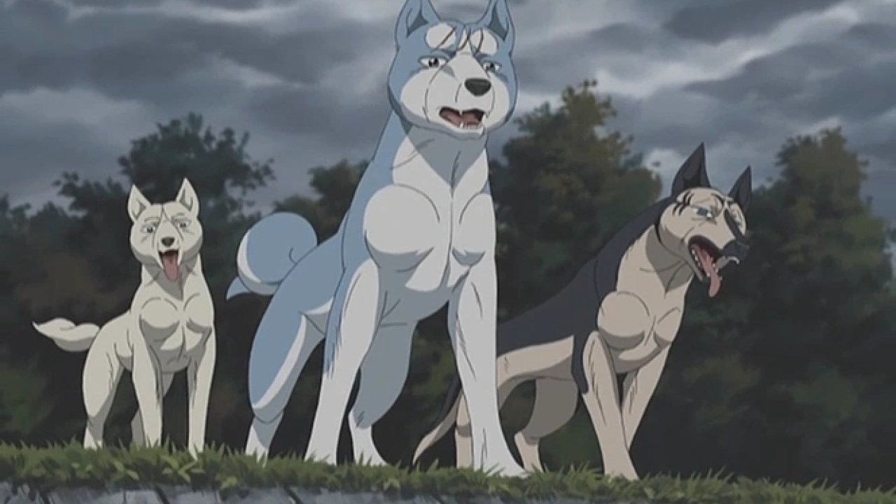 Silver Fang Legend Weed Background