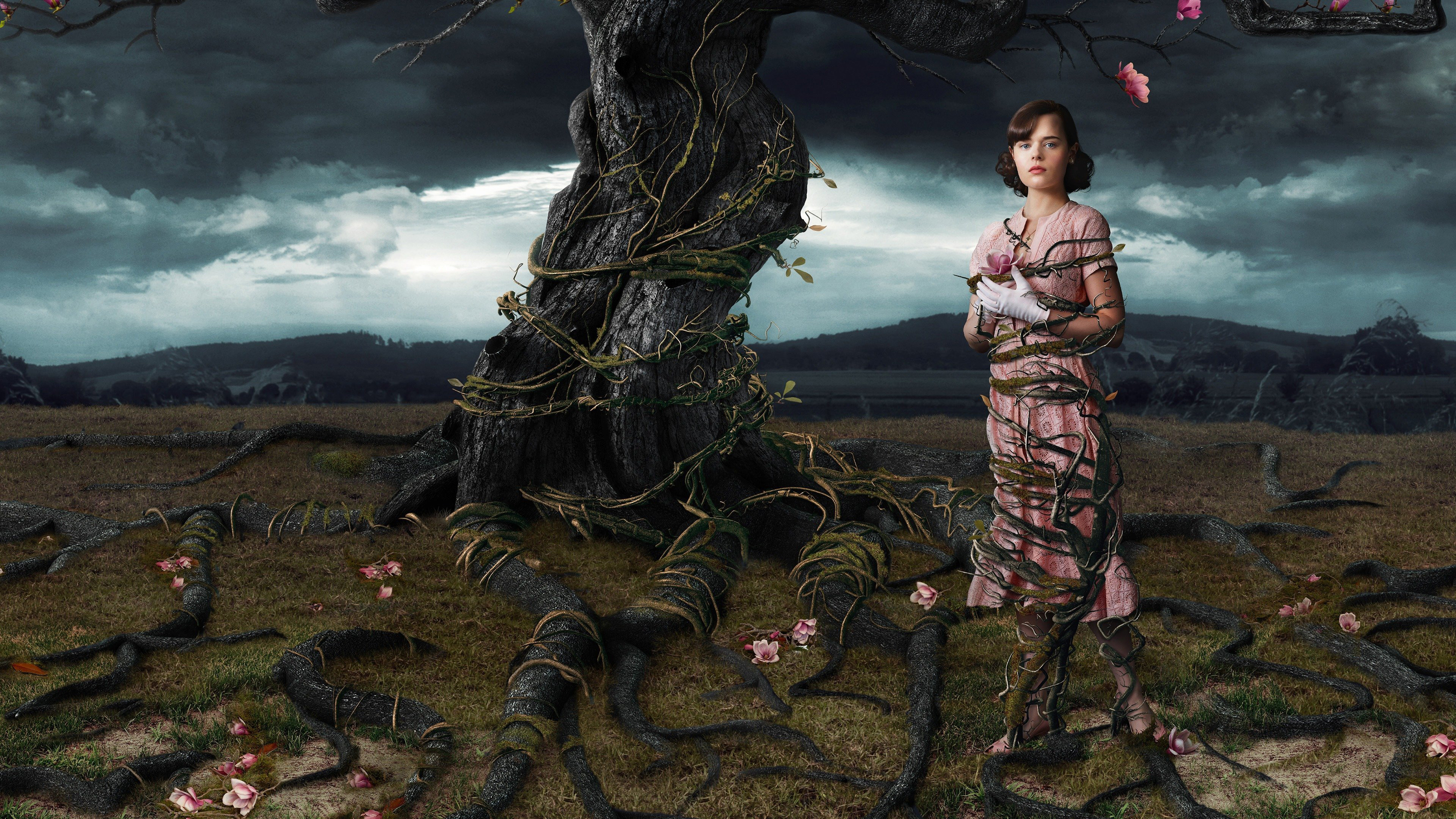 Web of Dreams Background