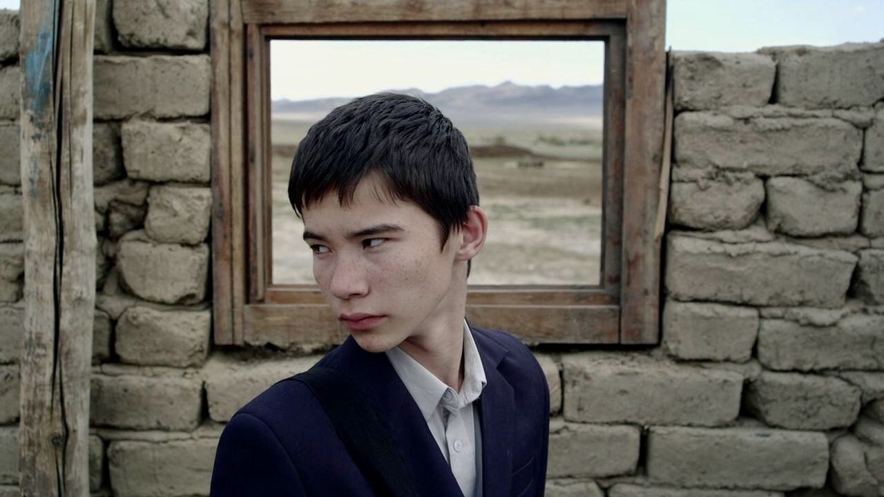 Harmony Lessons Background