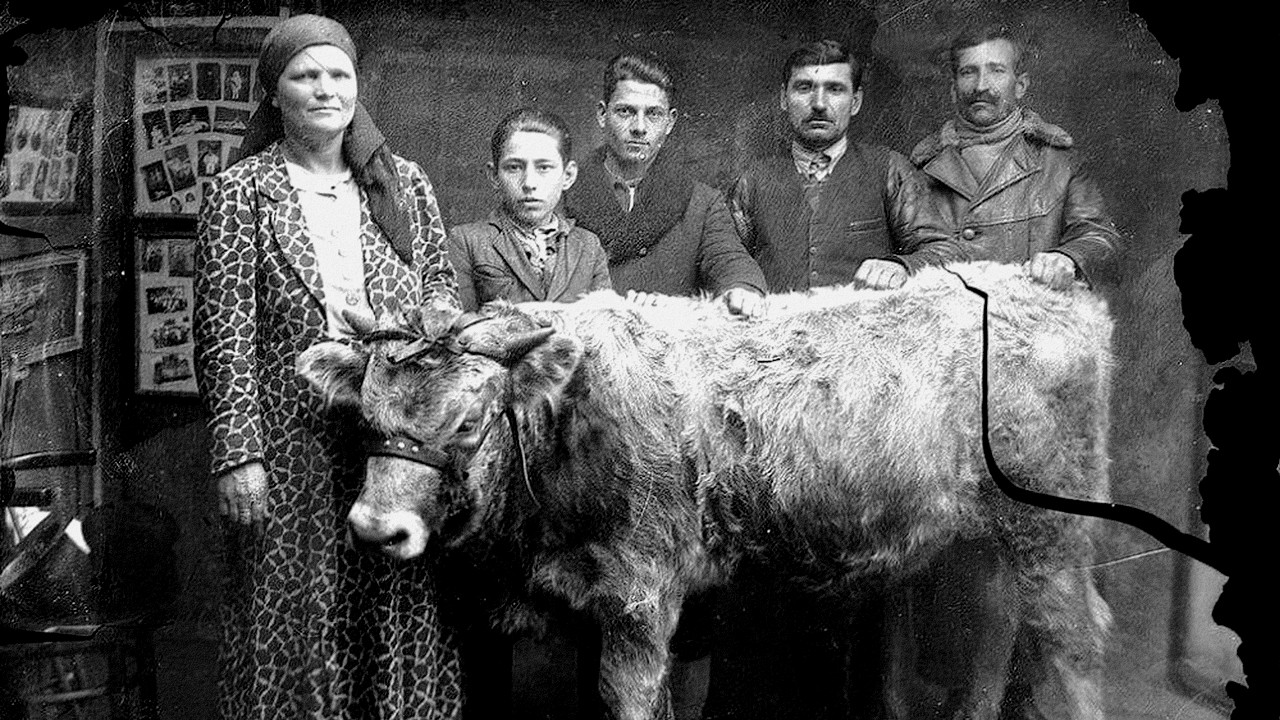 The Dead Nation Background