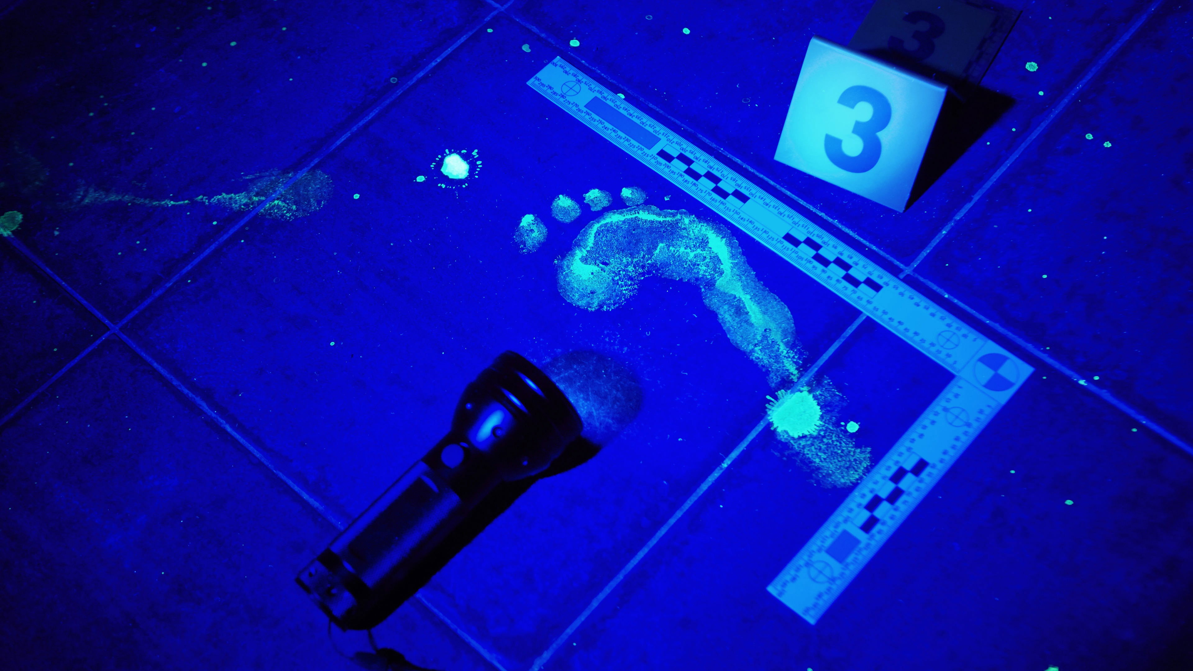 Forensic Files Background