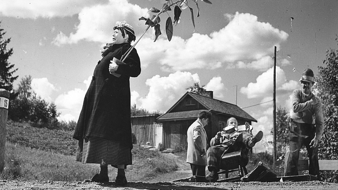 Pekka Puupää kesälaitumilla Background