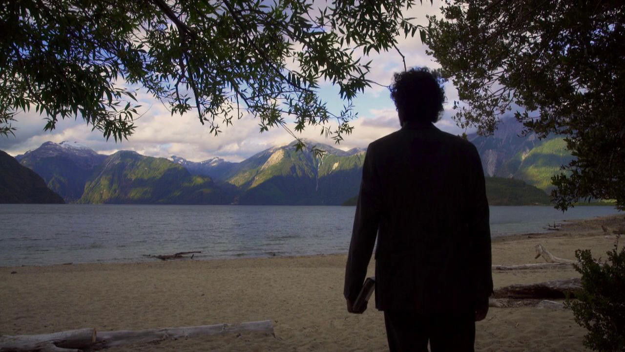 He Hated Pigeons Background