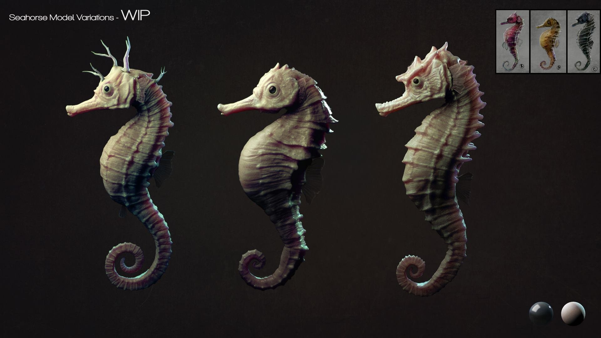 The Seahorse Trainer Background