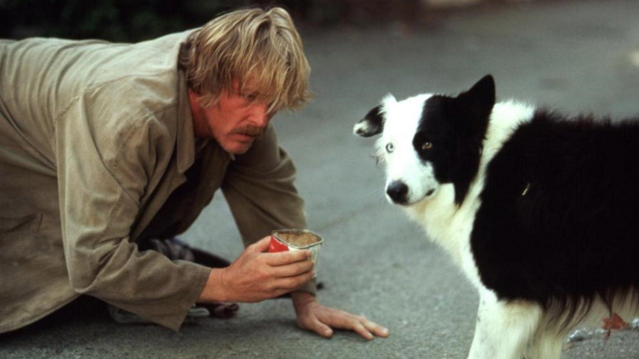 Down and Out in Beverly Hills Background