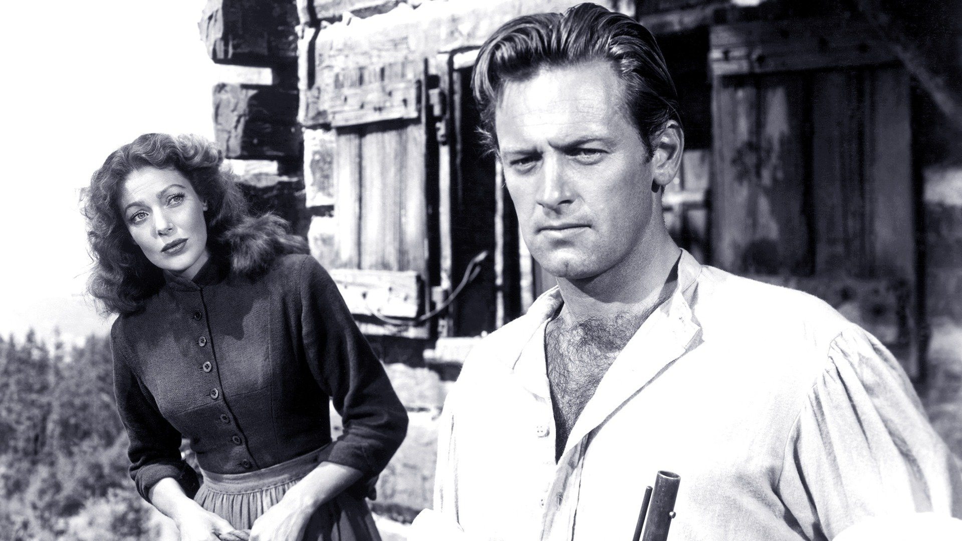 Rachel and the Stranger Background