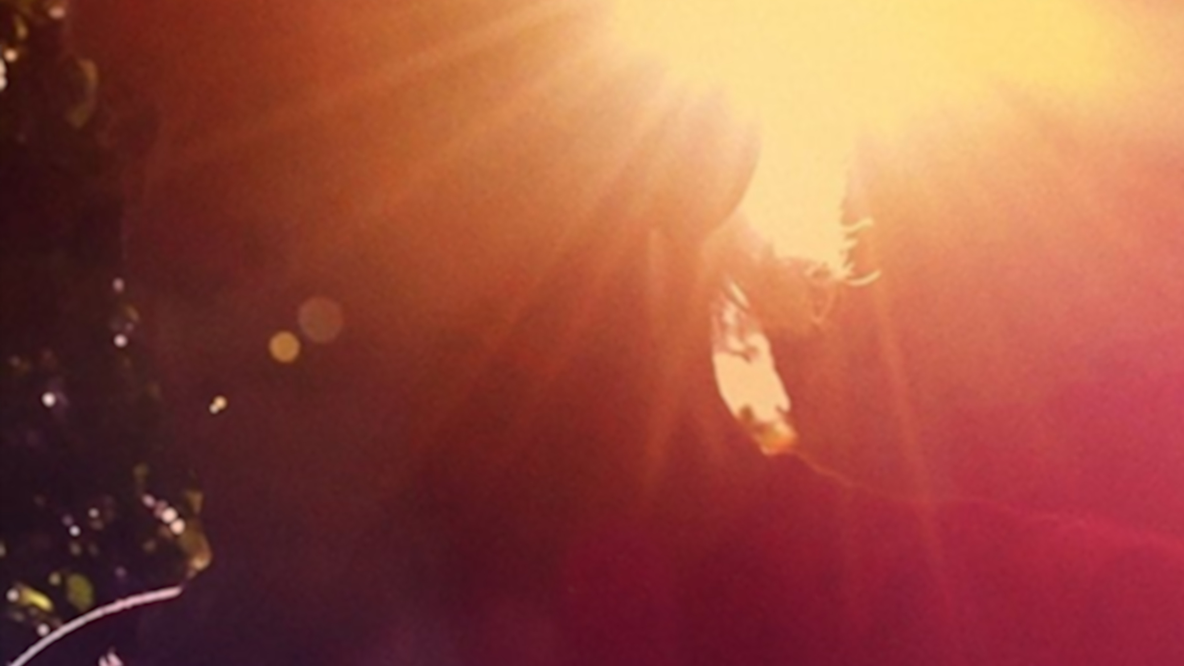 Ram Dass, Going Home Background