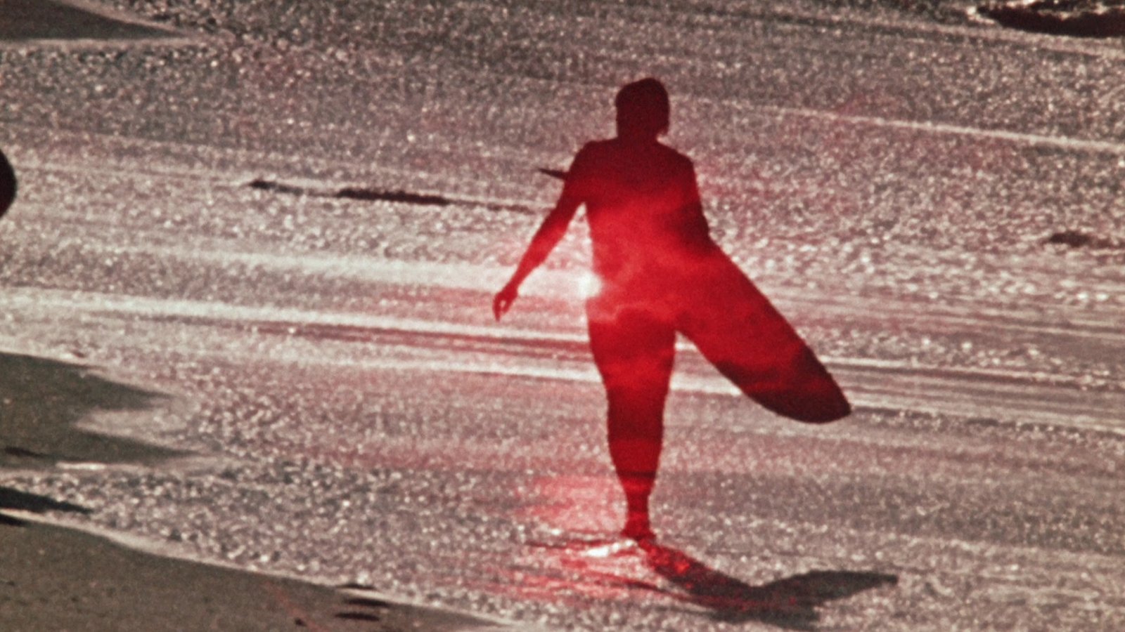 Morning of the Earth Background