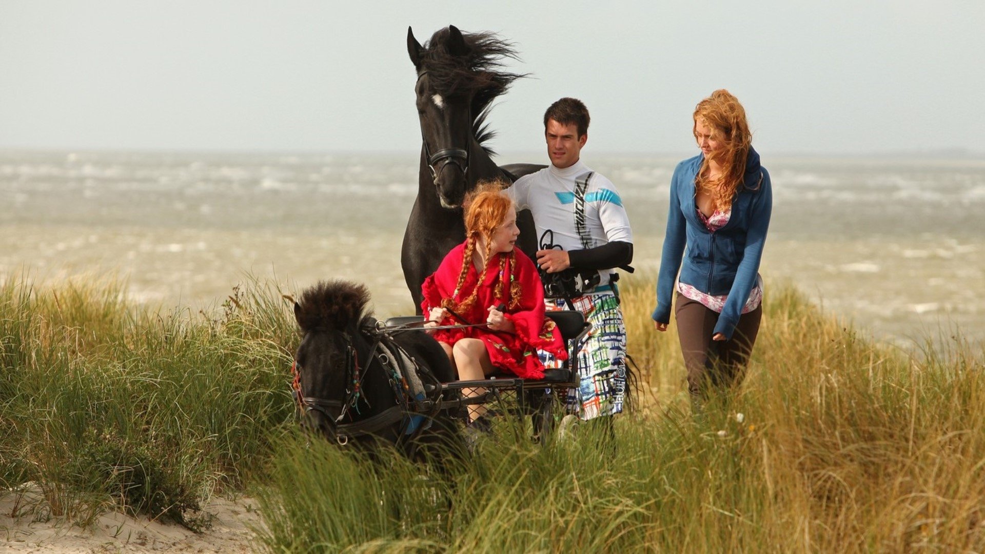 Penny's Shadow Background