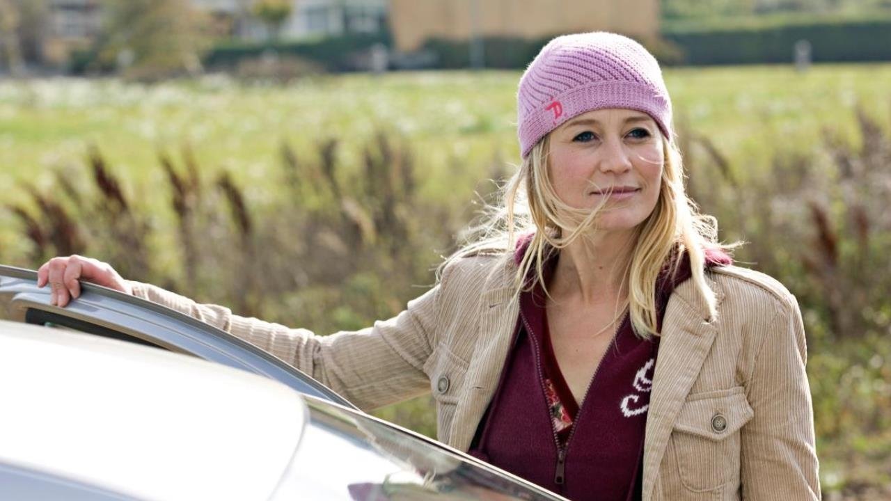 Flies on the Wall Background