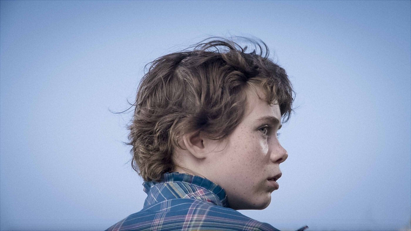 Tiny Mammals Background