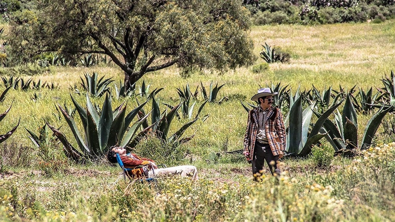 Me gusta, pero me asusta Background