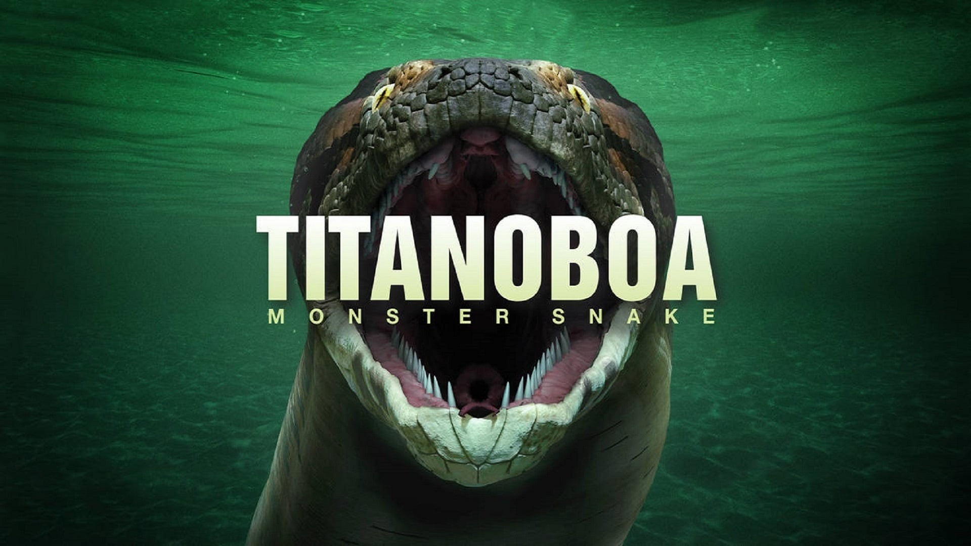 Titanoboa: Monster Snake Background