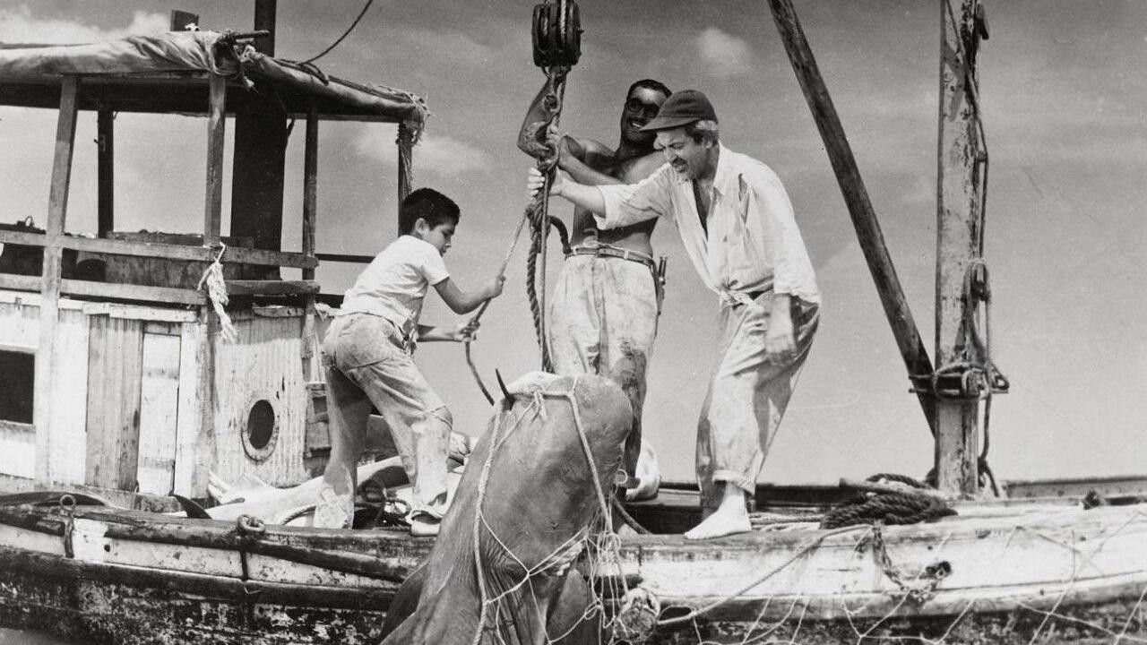 Tiburoneros Background