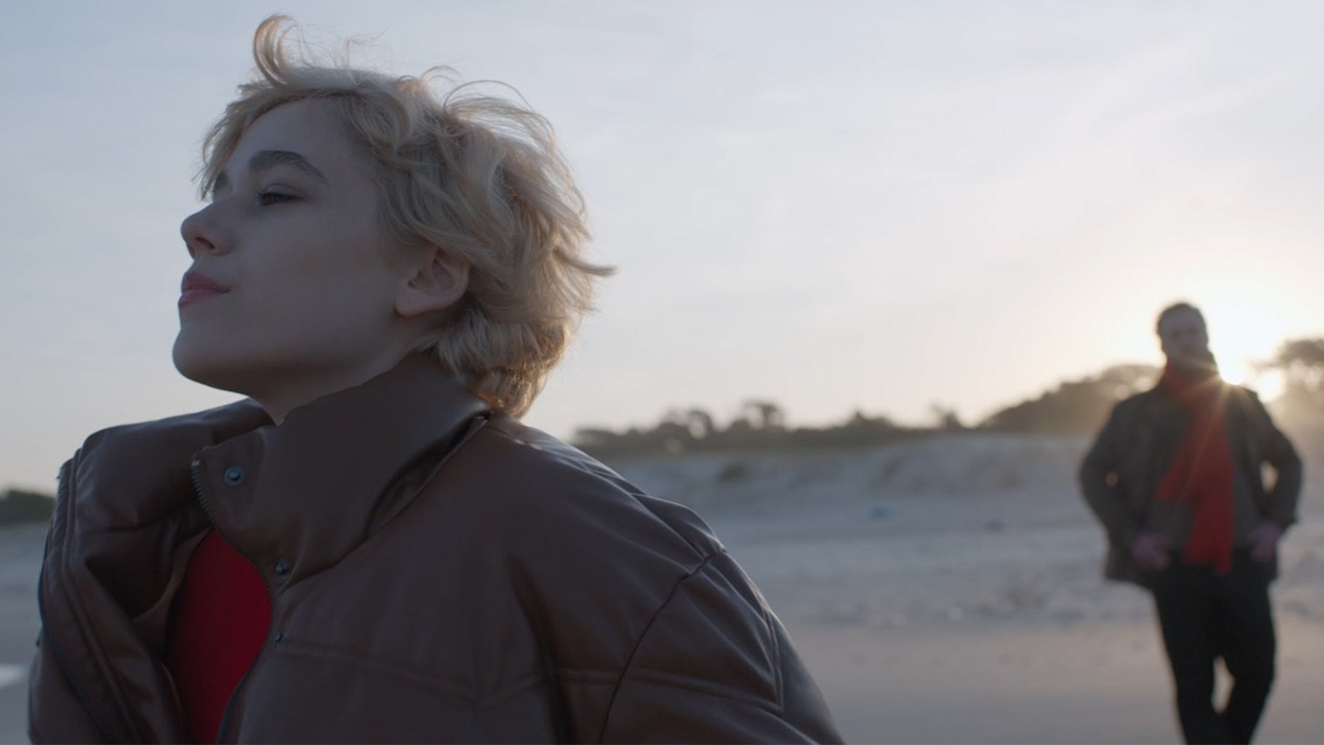 Los terrenos Background