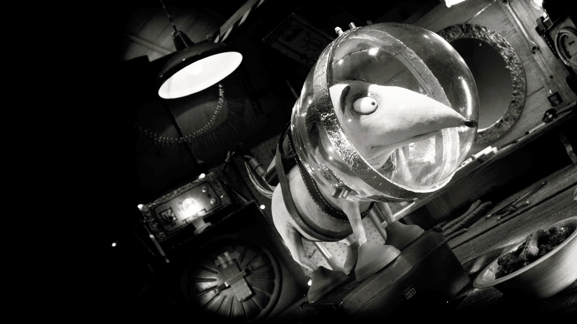 Captain Sparky vs. The Flying Saucers Background