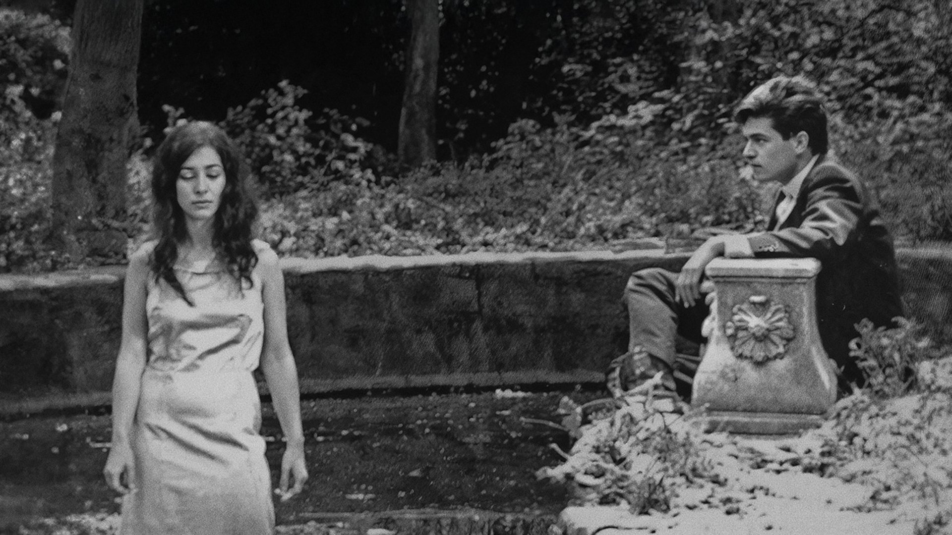 Love Stories of the Pale Night Background