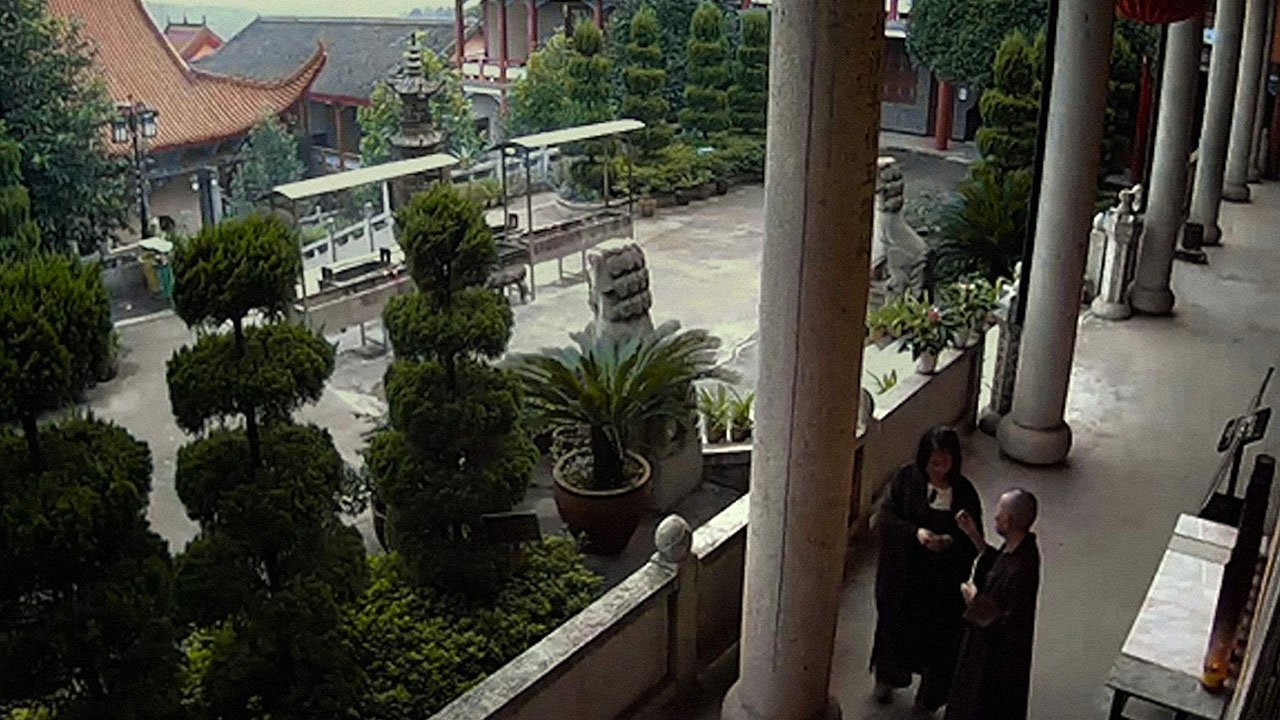 Dragonfly Eyes Background