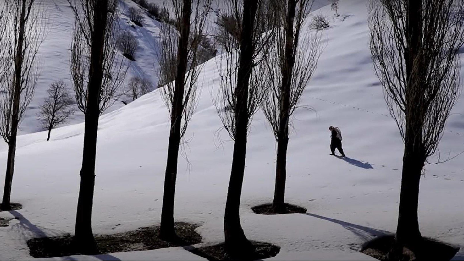 Carpenter Background