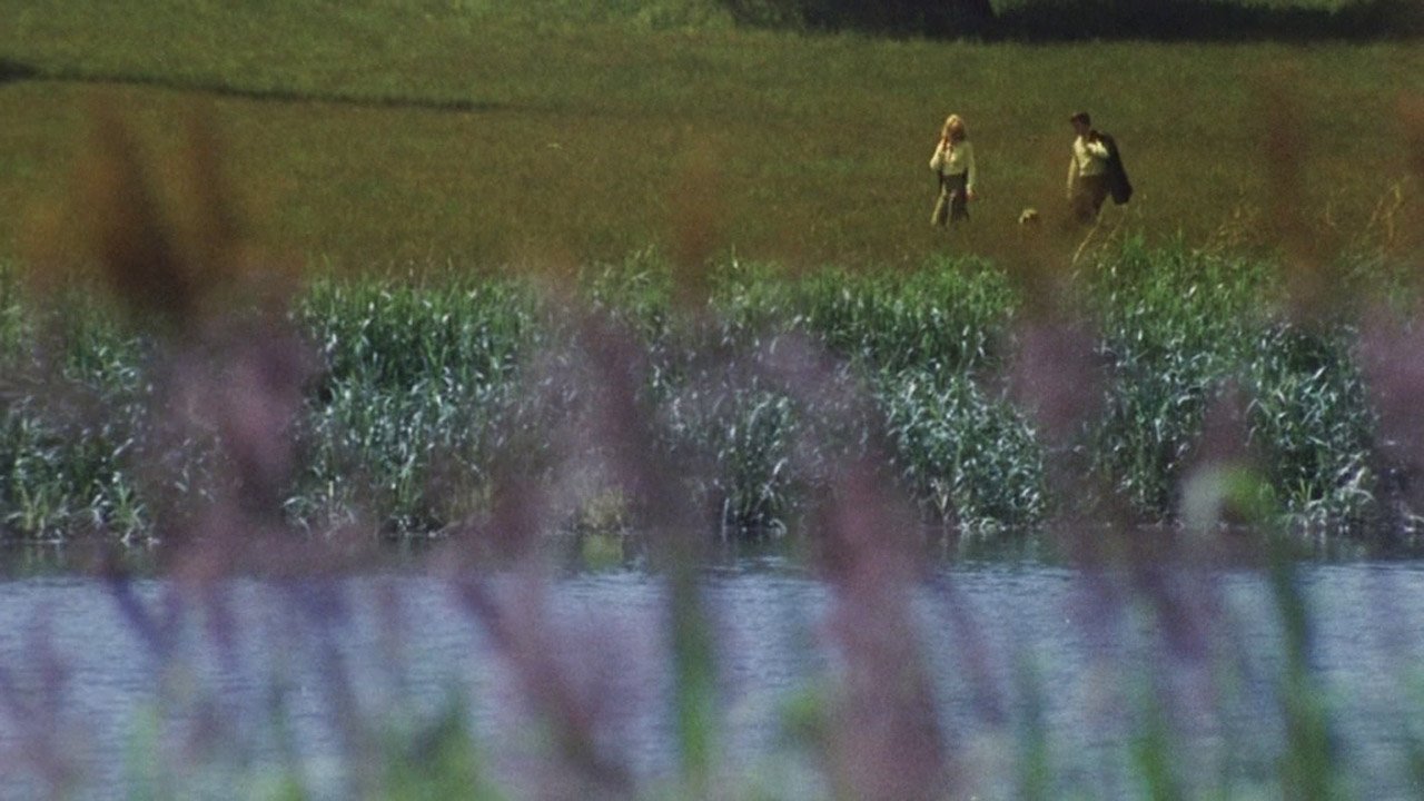 Here We Go Round the Mulberry Bush Background