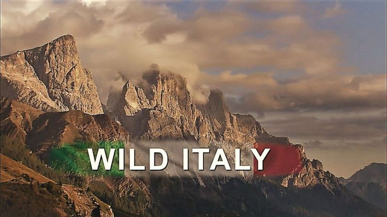 Wild Italy Background