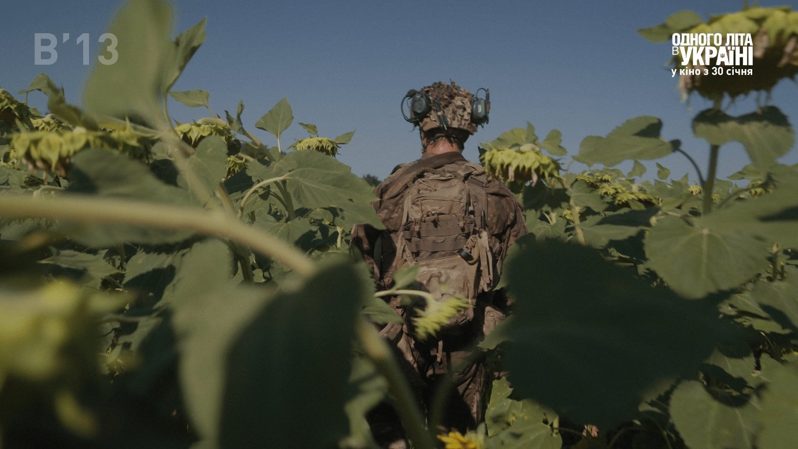 Summertime in Ukraine Background