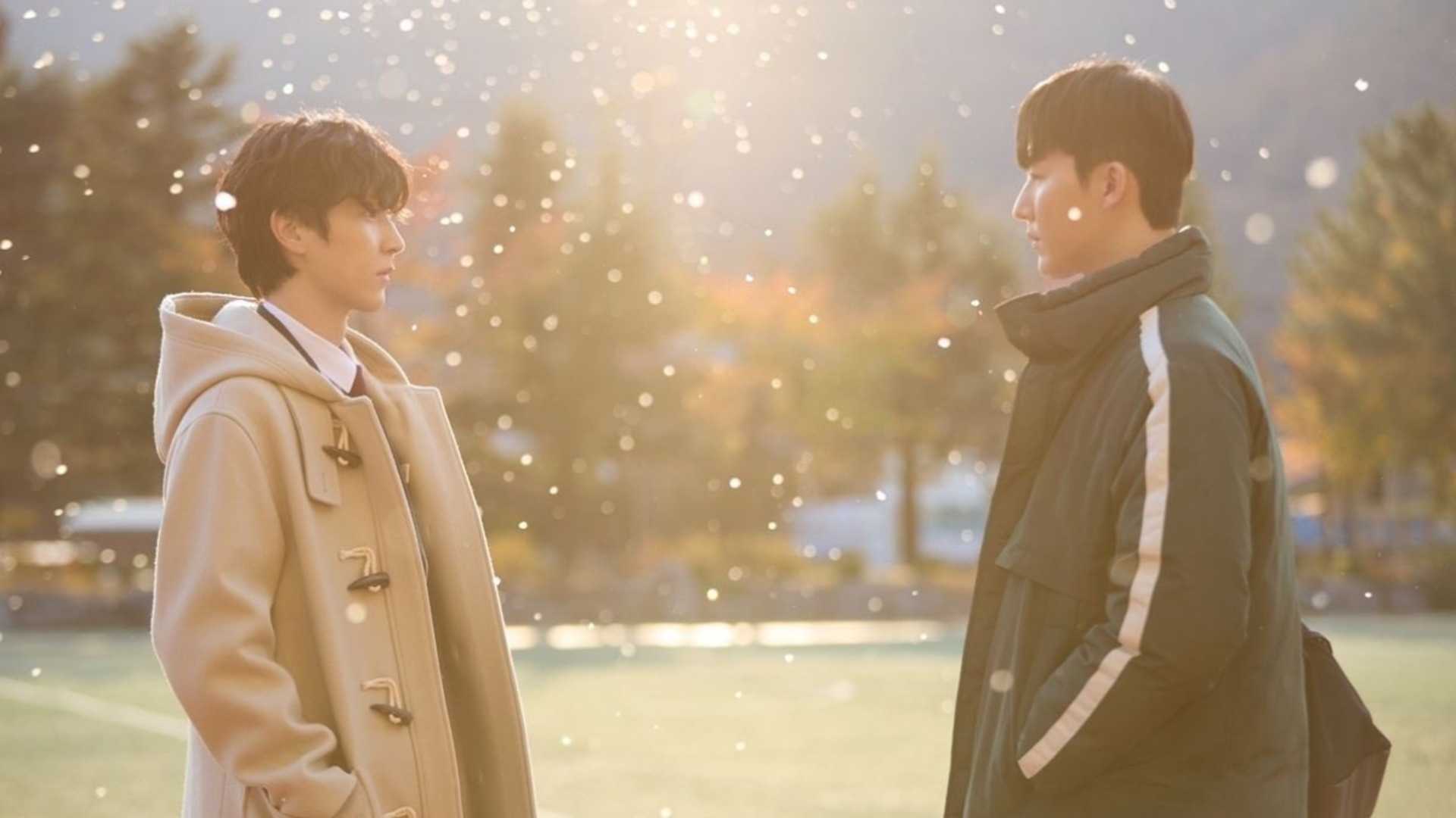 The Time of Fever Background