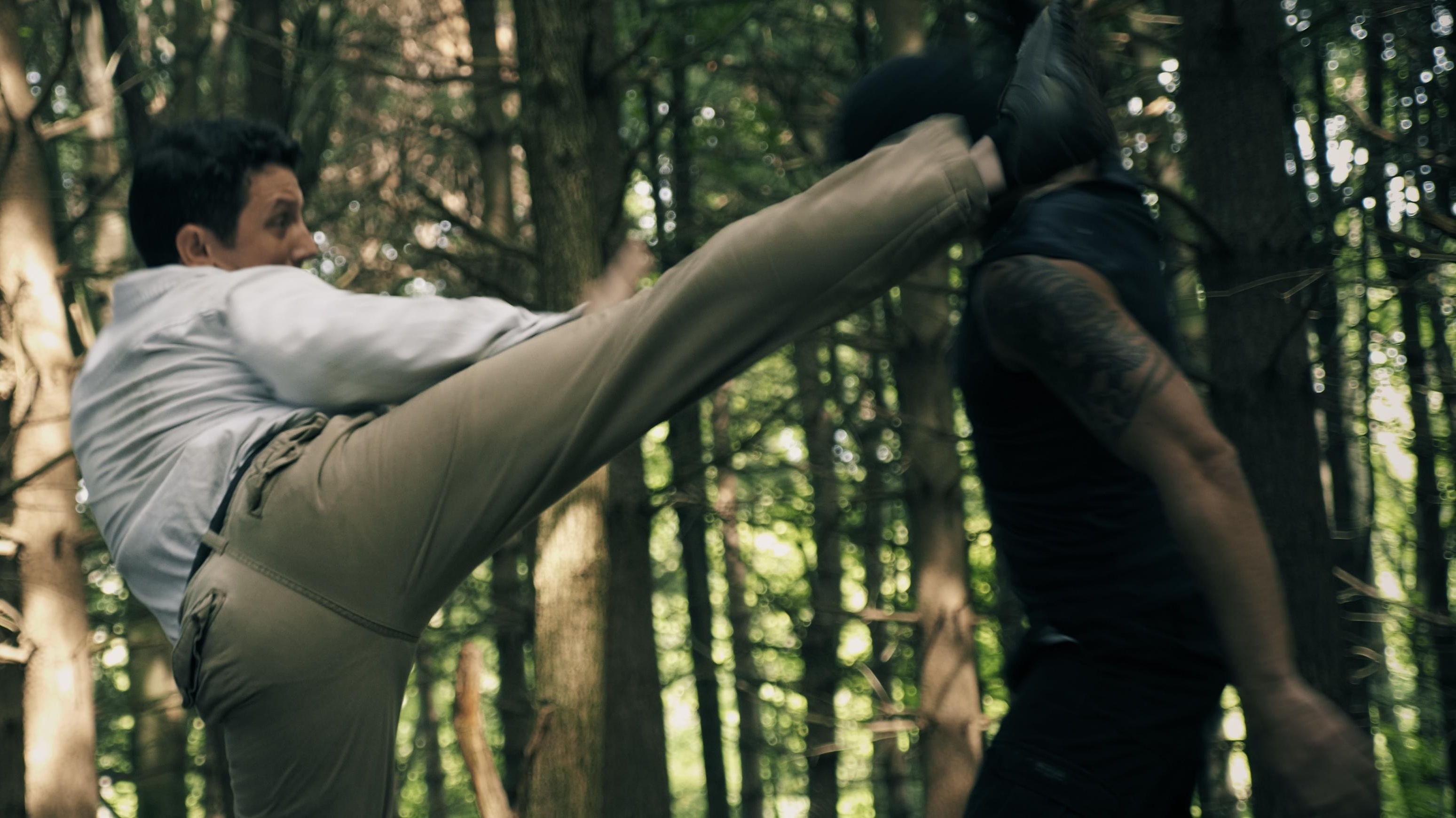 Immortal Combat the Code Background