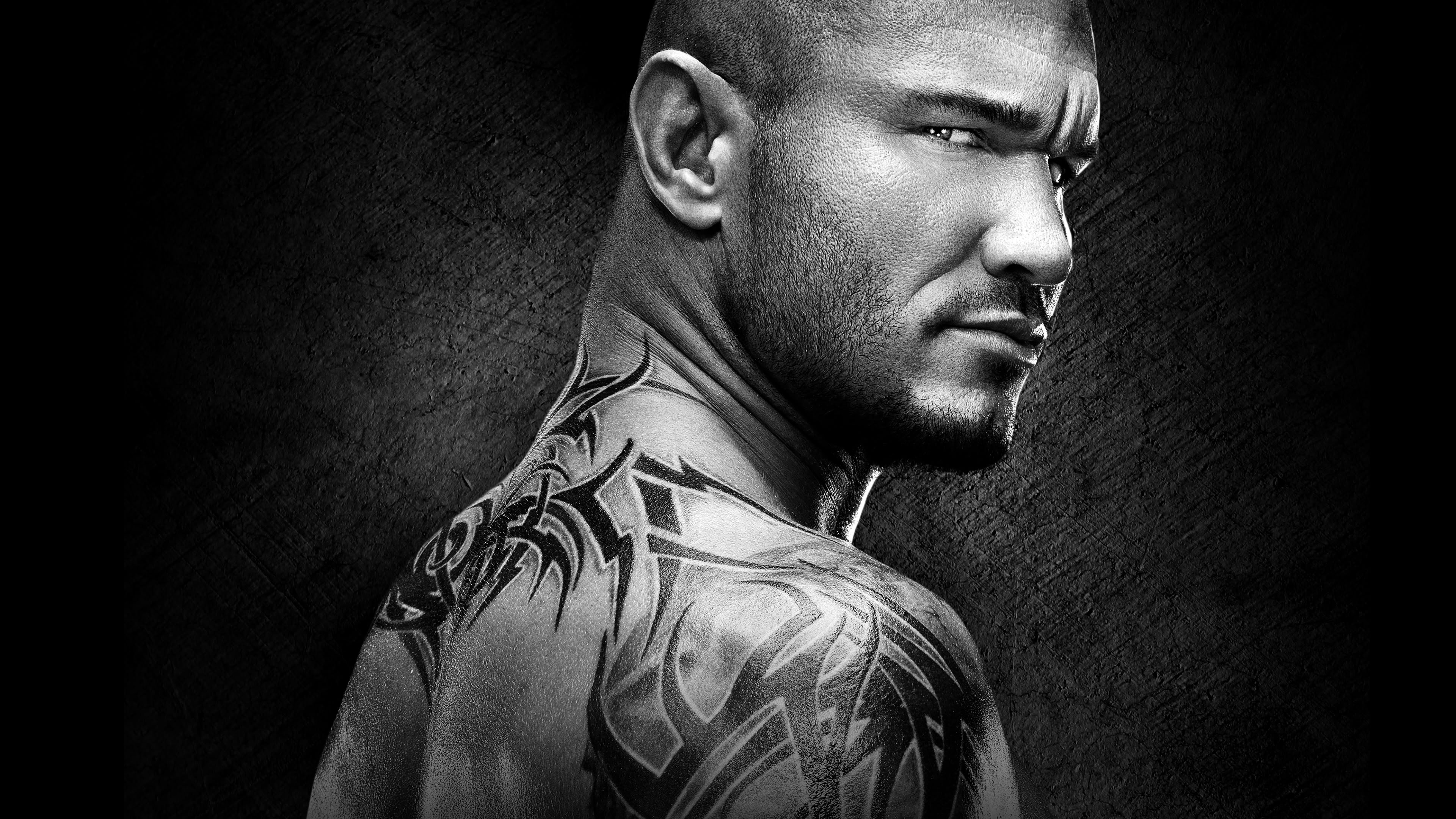 WWE Payback 2015 Background