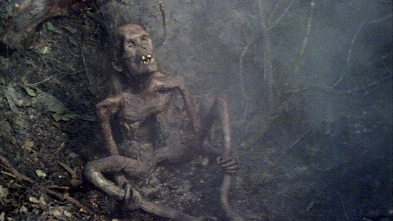 The Ash Tree Background