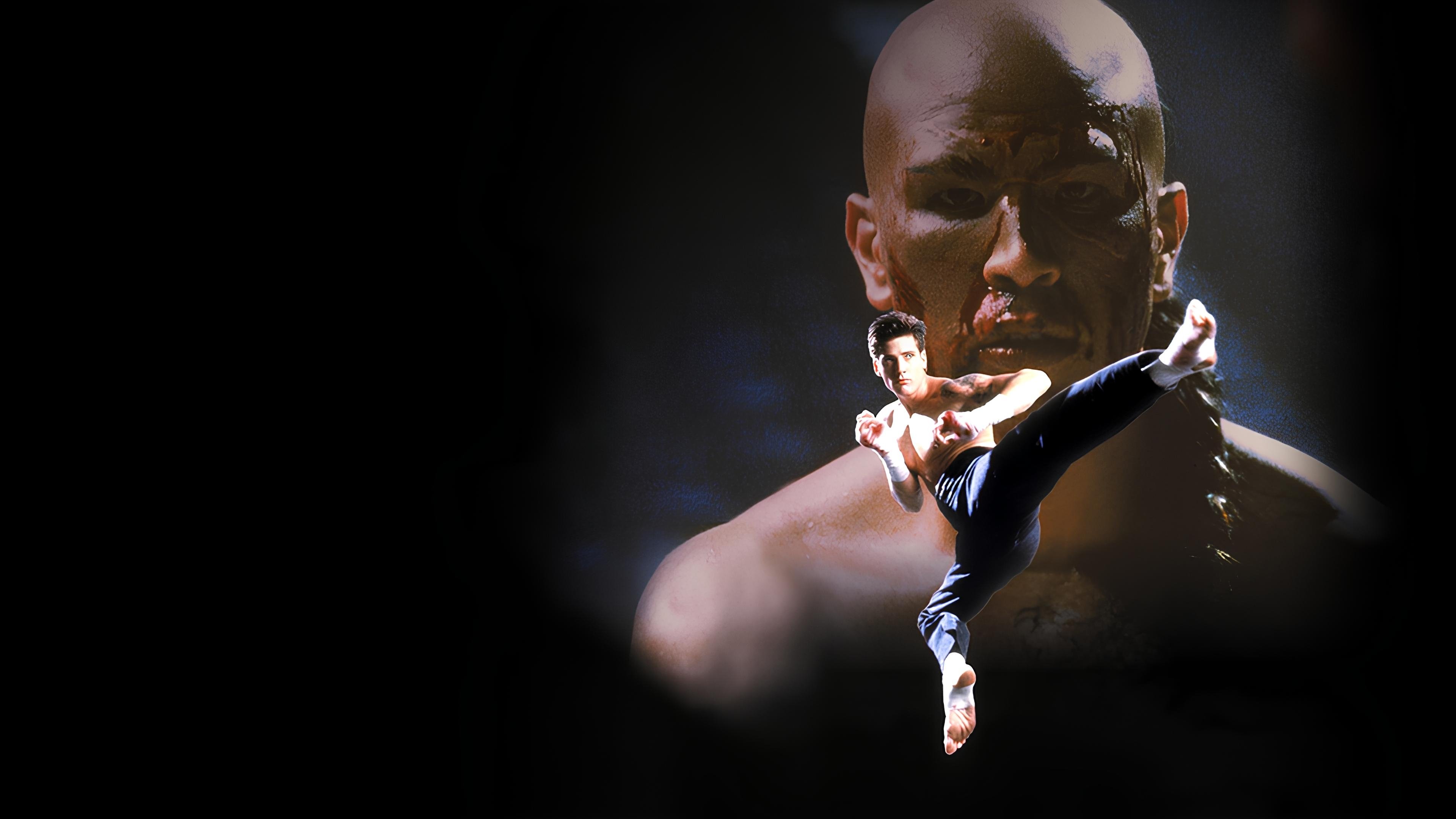 Kickboxer 4: The Aggressor Background