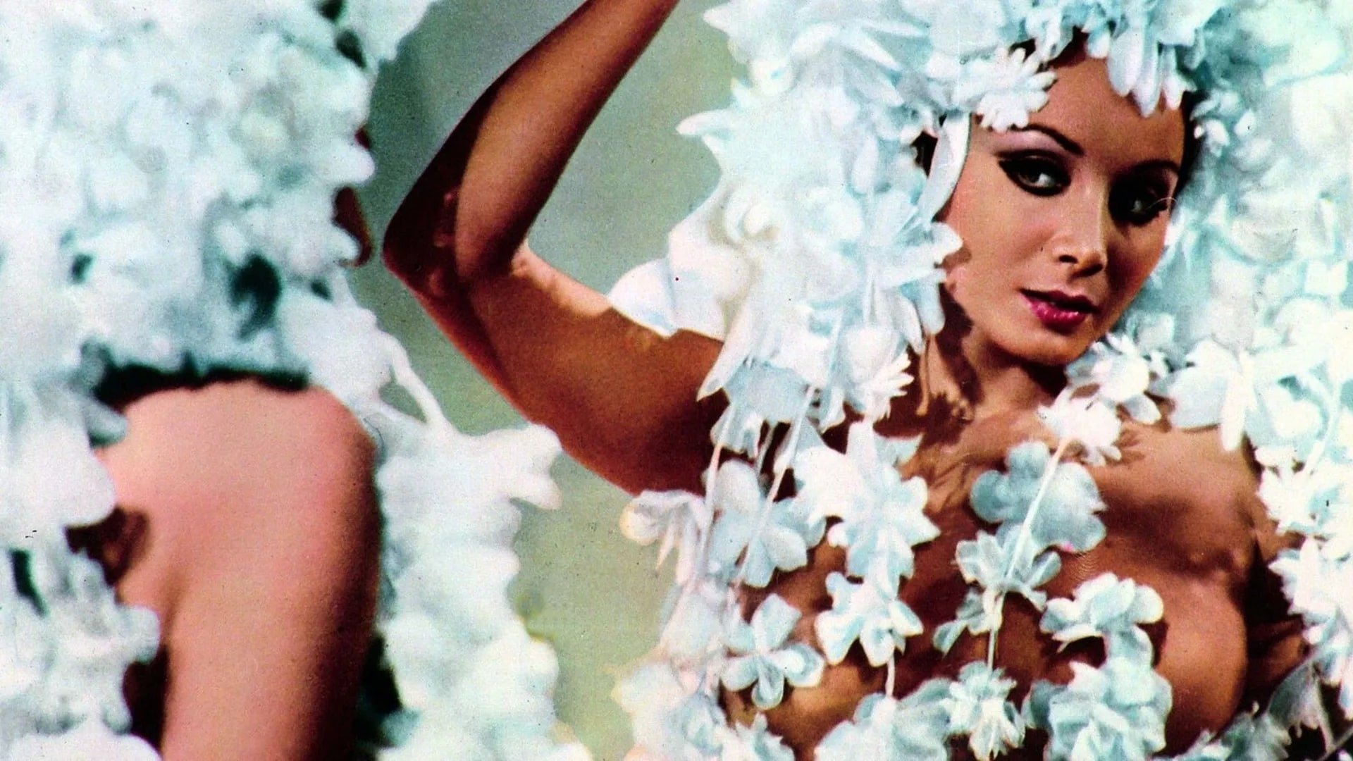 Dismissed on His Wedding Night Background