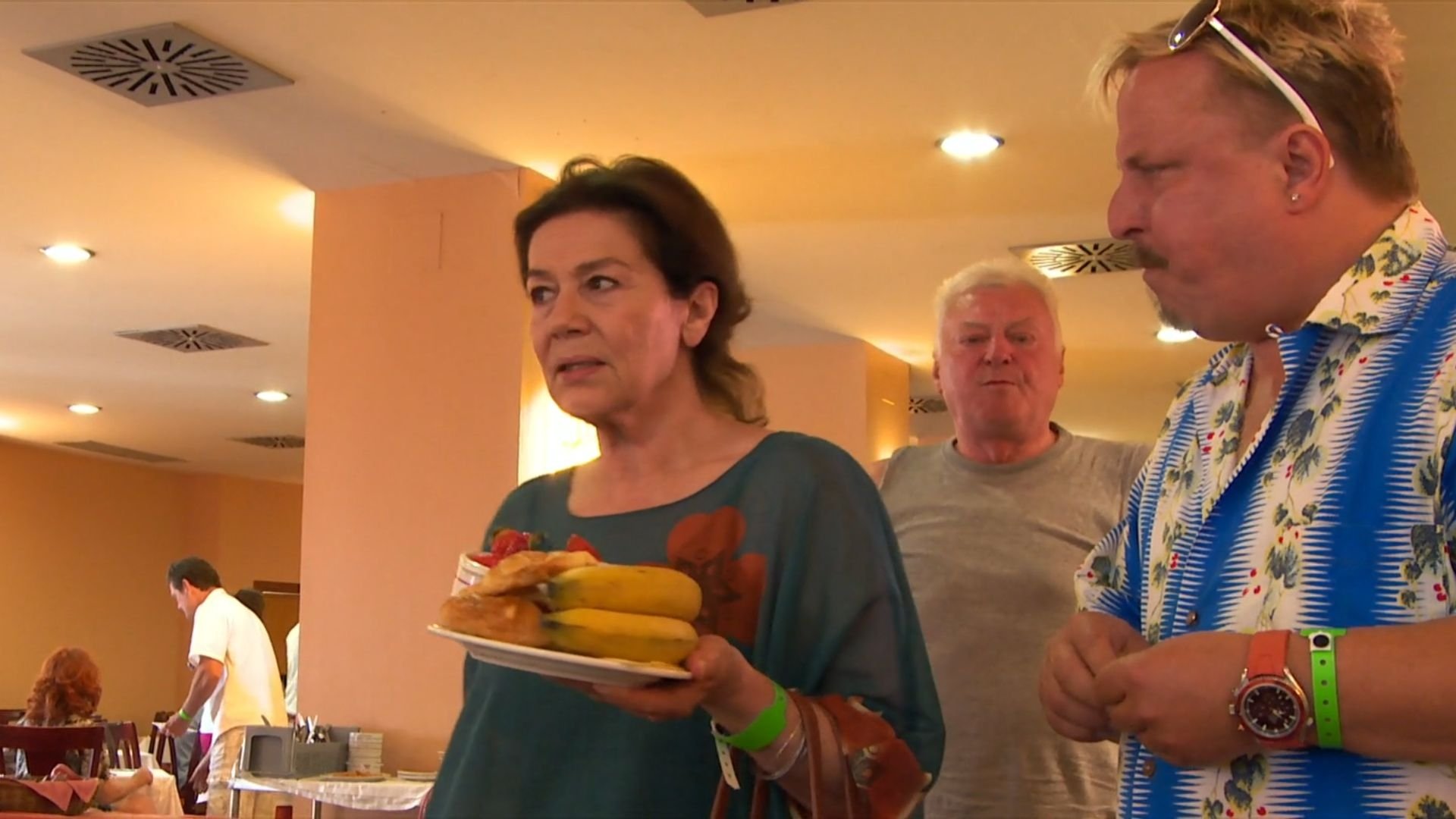 The Whole Shebang Background