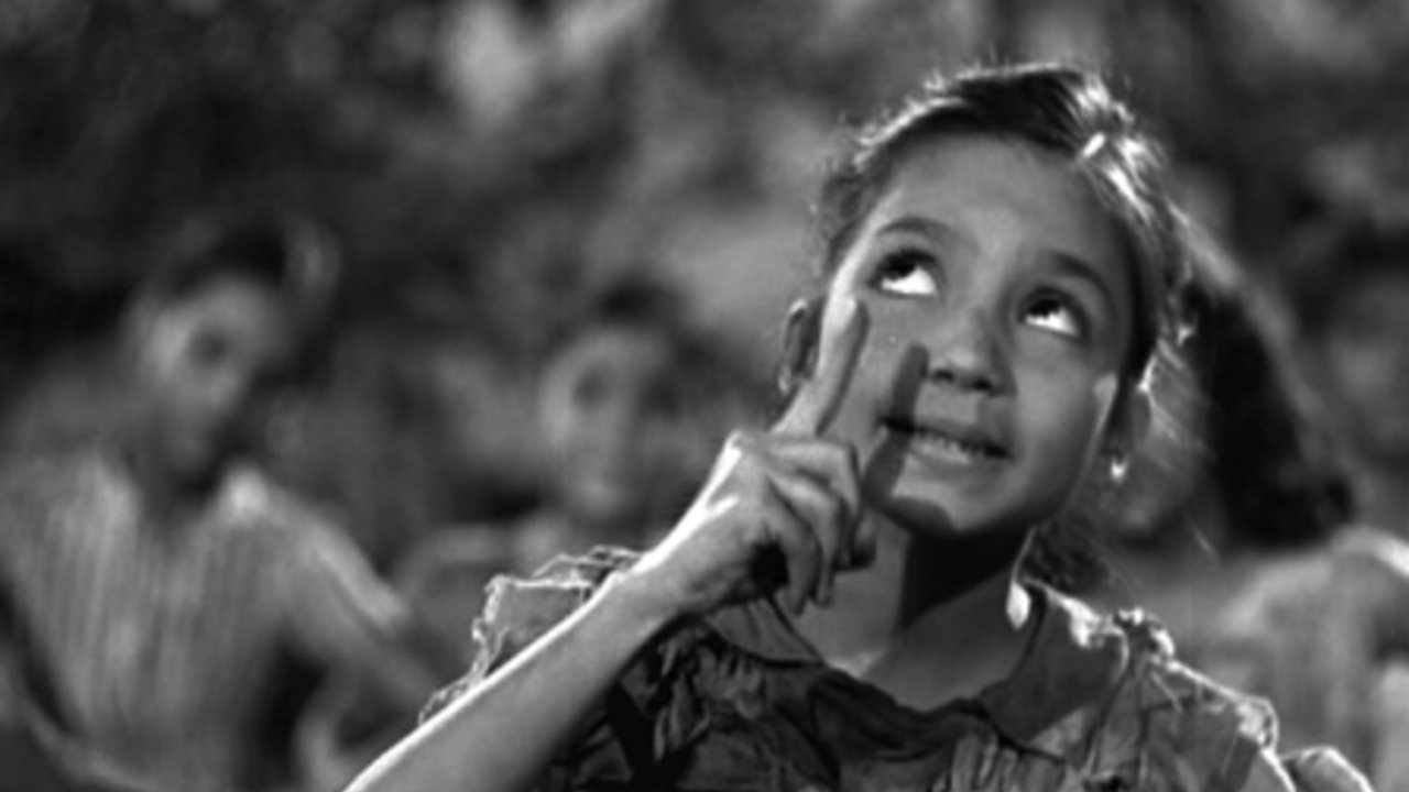 Boot Polish Background