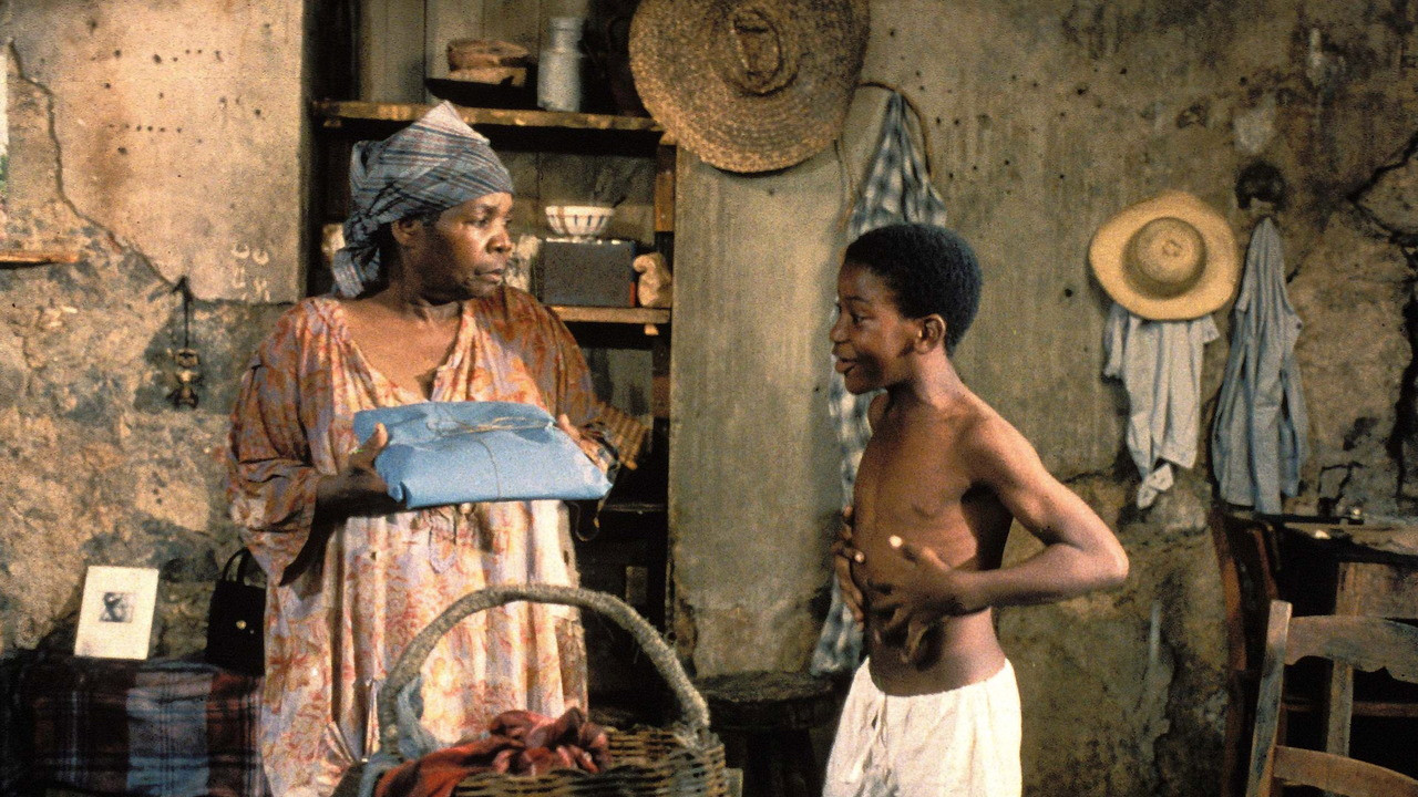 Sugar Cane Alley Background