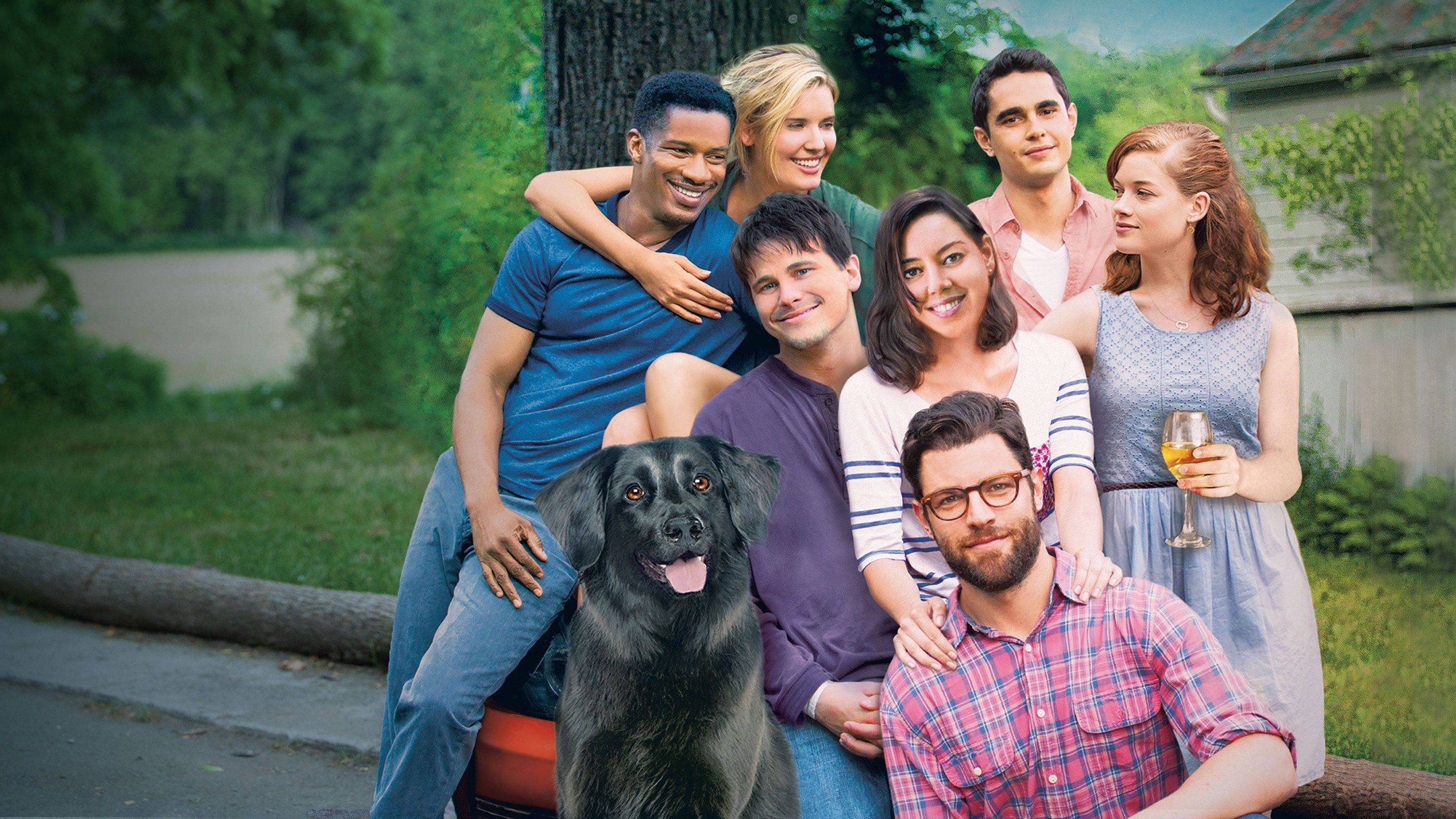 About Alex Background