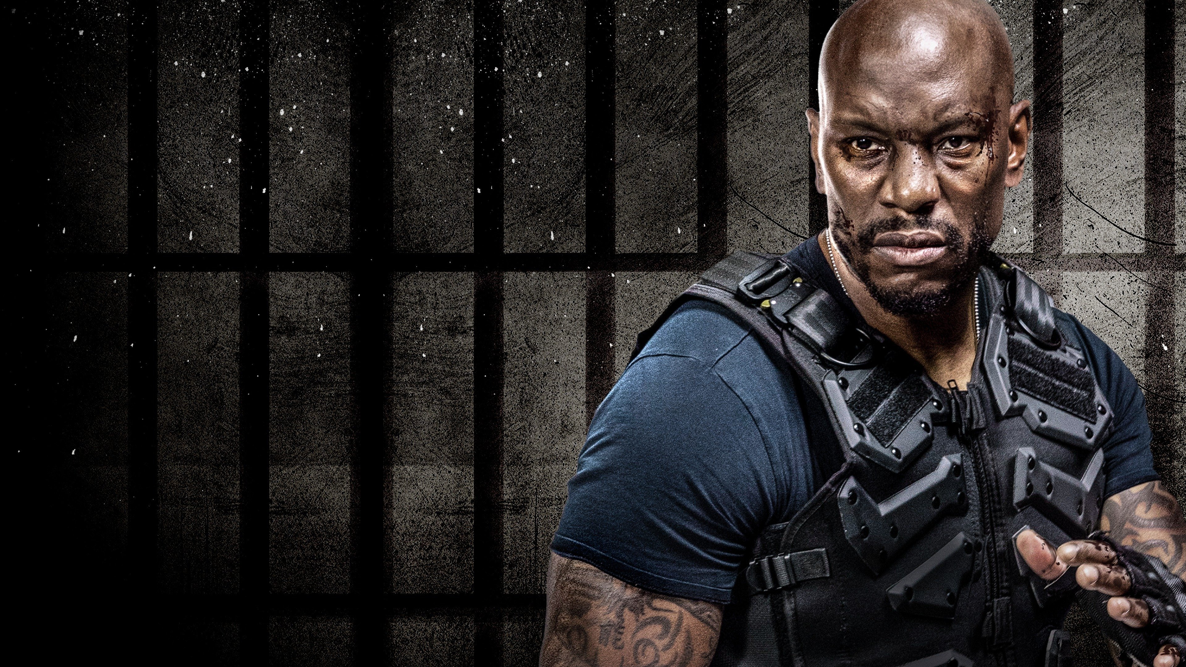 The System Background