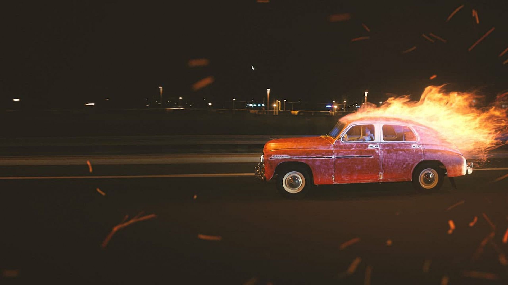 Bird Talk Background