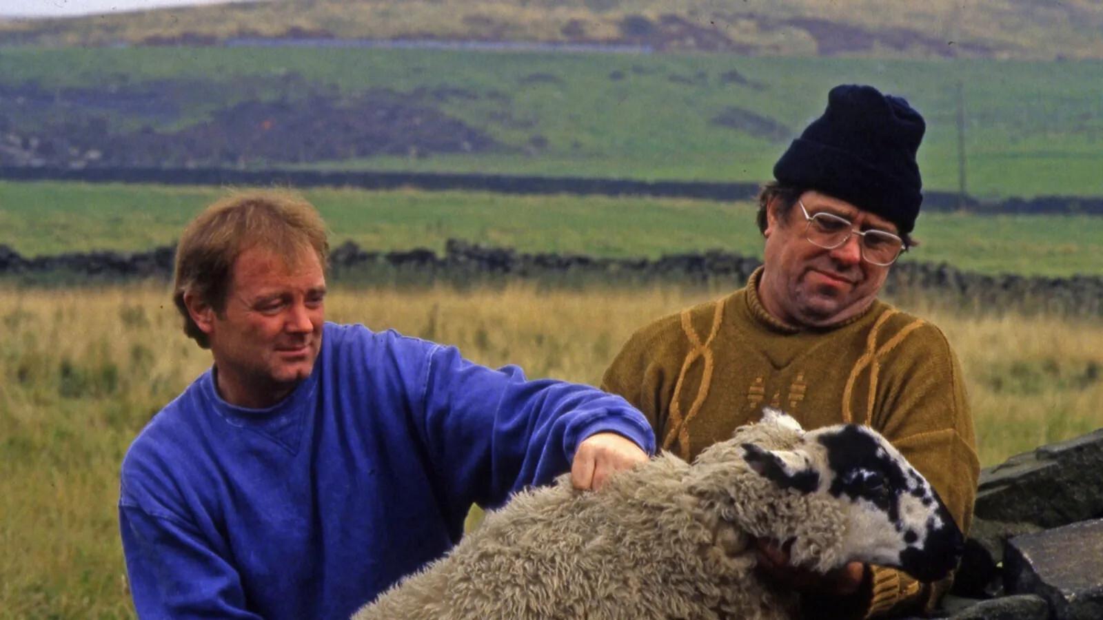 Raining Stones Background