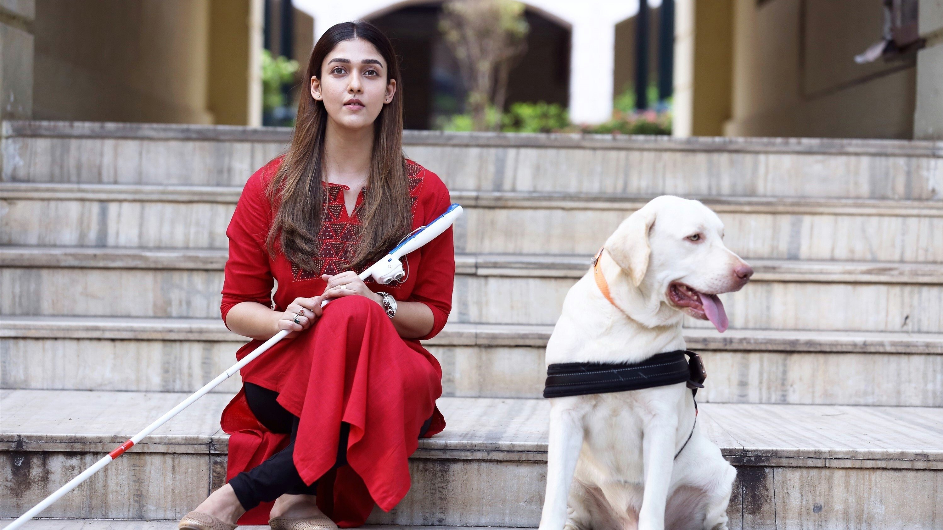 Netrikann Background