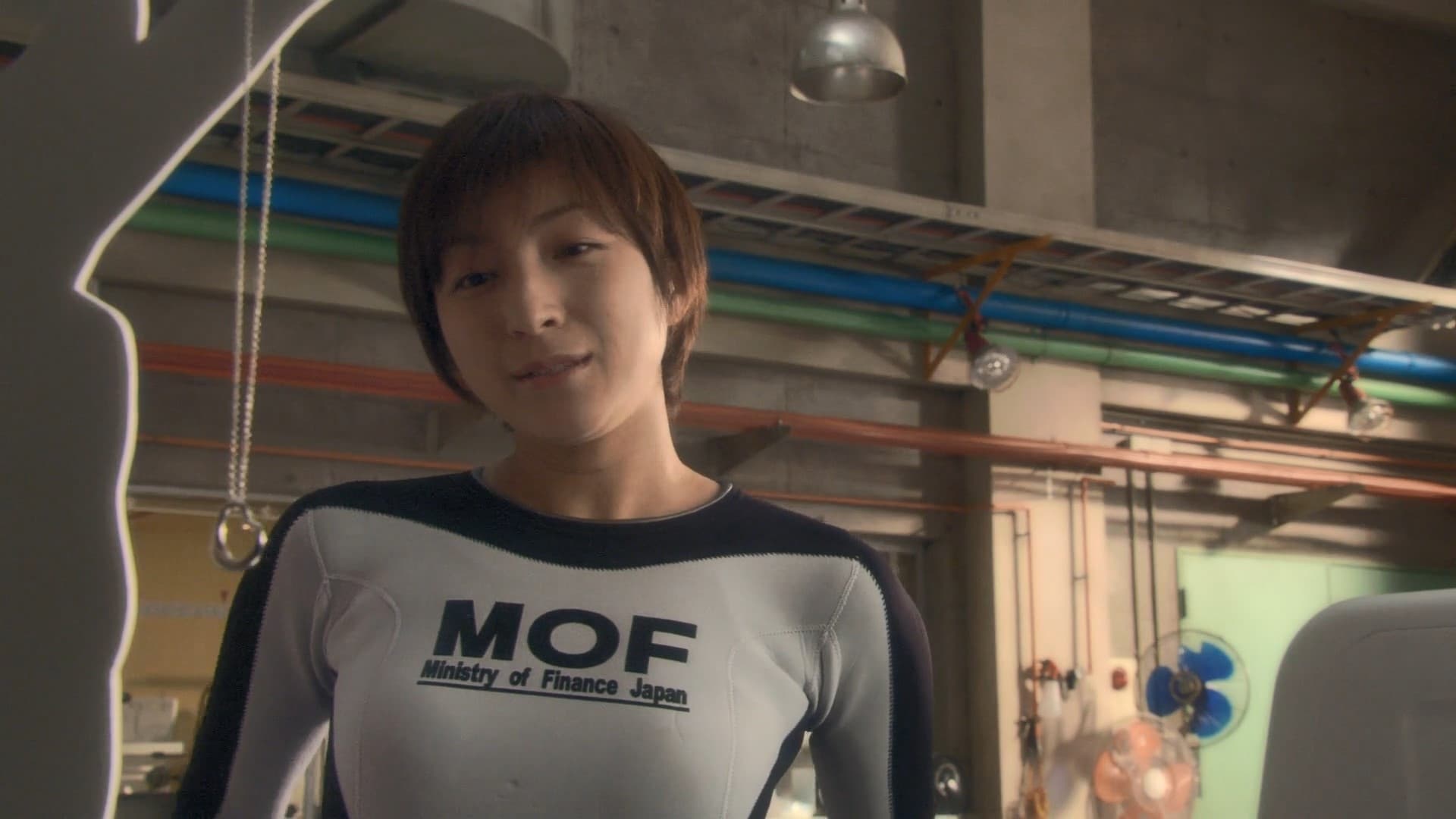 Bubble Fiction: Boom or Bust Background